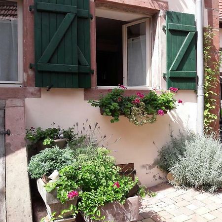 Charmant Petit Appartement En Alsace Bouxwiller  Екстериор снимка