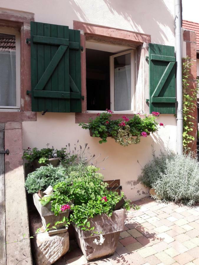 Charmant Petit Appartement En Alsace Bouxwiller  Екстериор снимка